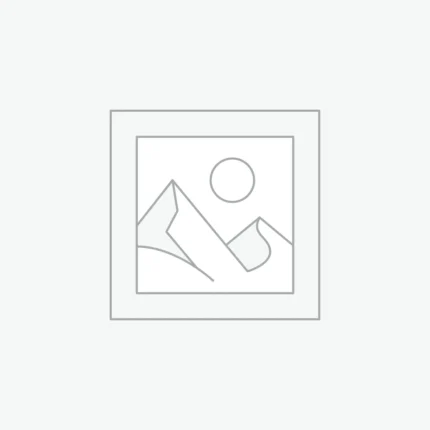 플레이스홀더